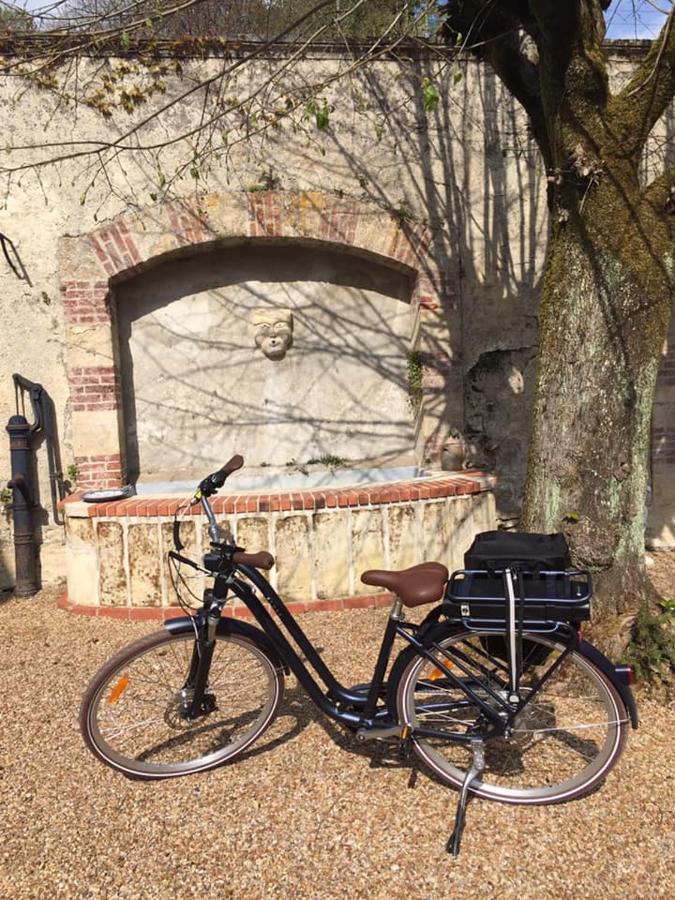 La Closerie Saint-Vincent, Chambres D'Hotes Amboise Pocé-sur-Cisse Esterno foto